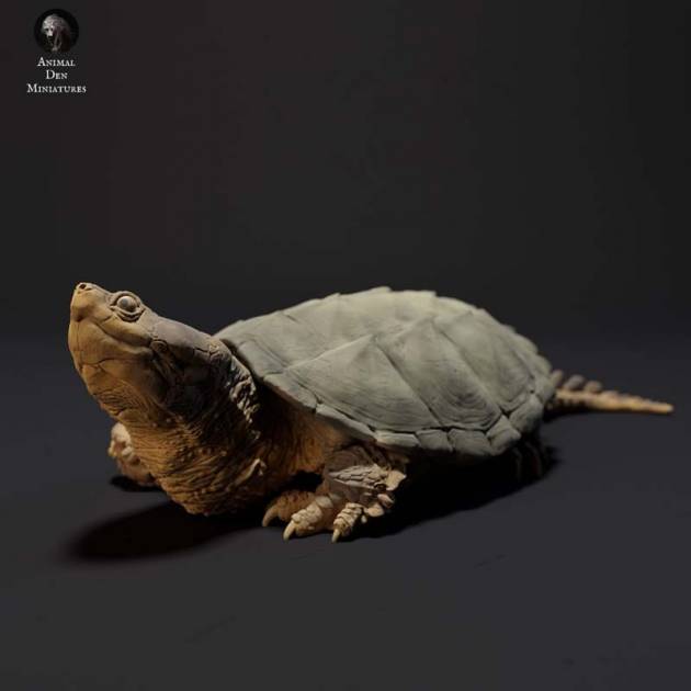 Common snapping turtle sunbathing, Animal Den Miniatures, ADM0049